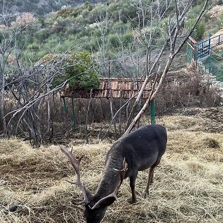 Keshtjella Myftari Villa Patos